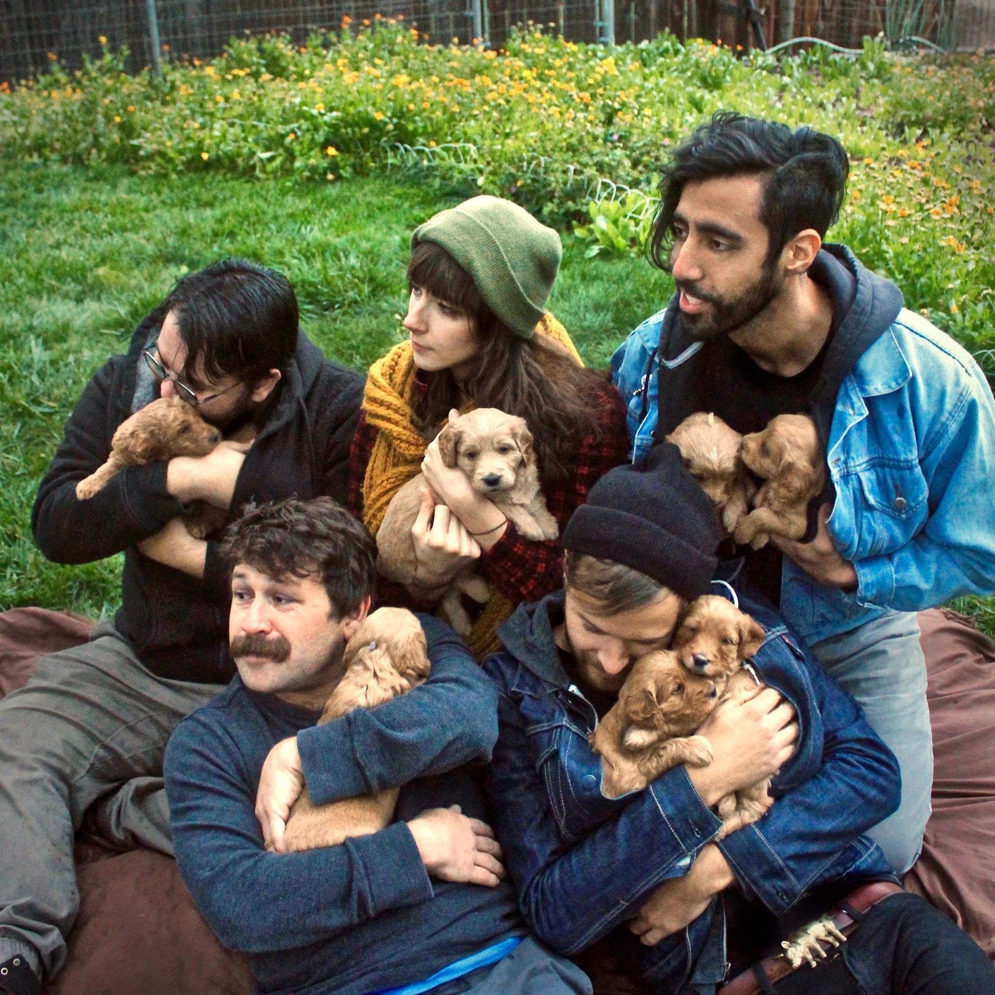 Knuckle-Pups-Press-Photo-.jpg