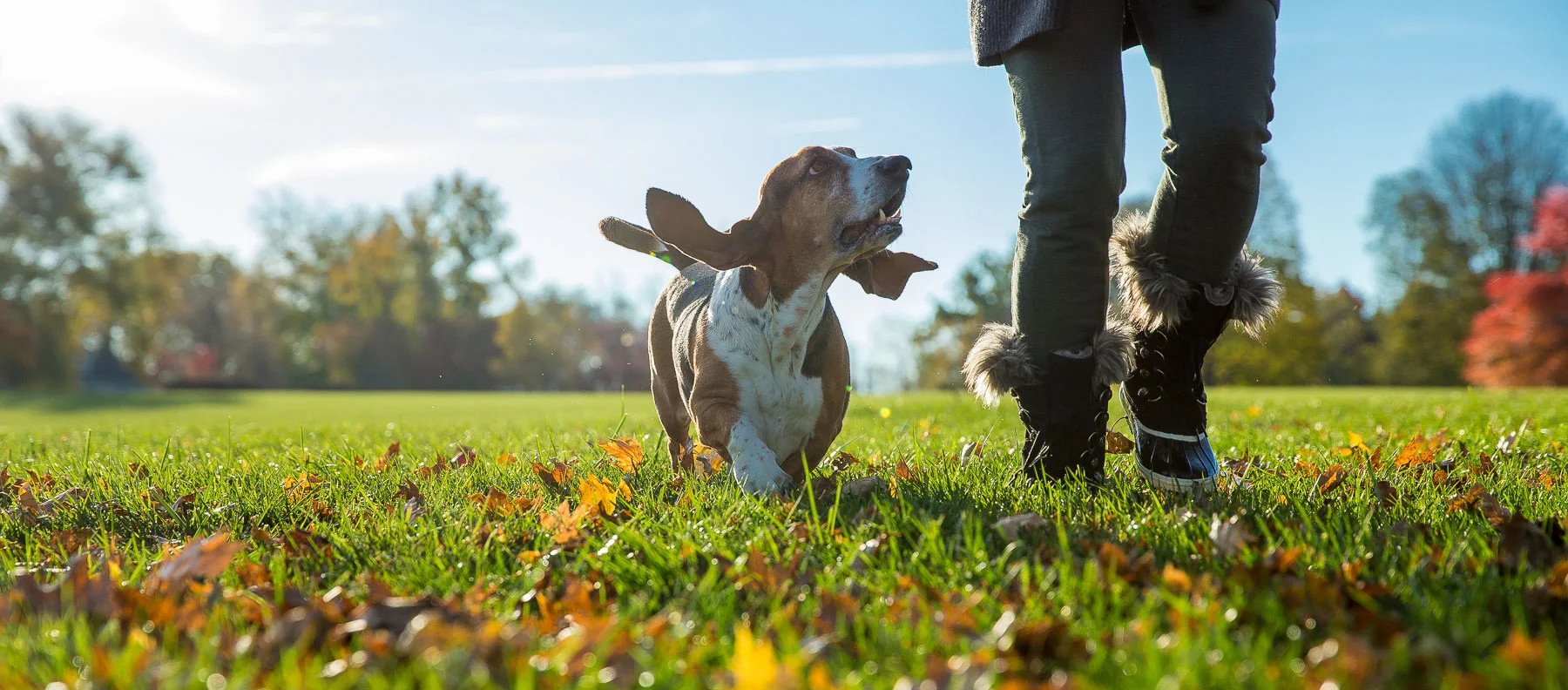animals-photo-13.jpg