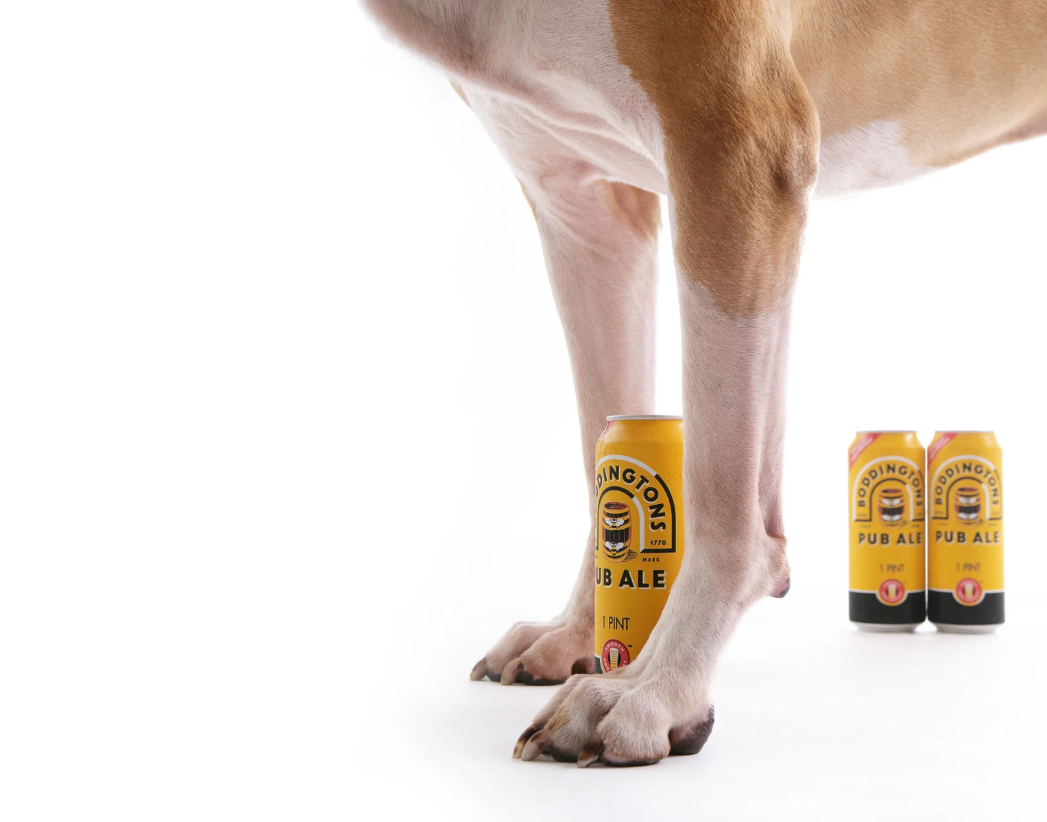 animals-photo-23.jpg