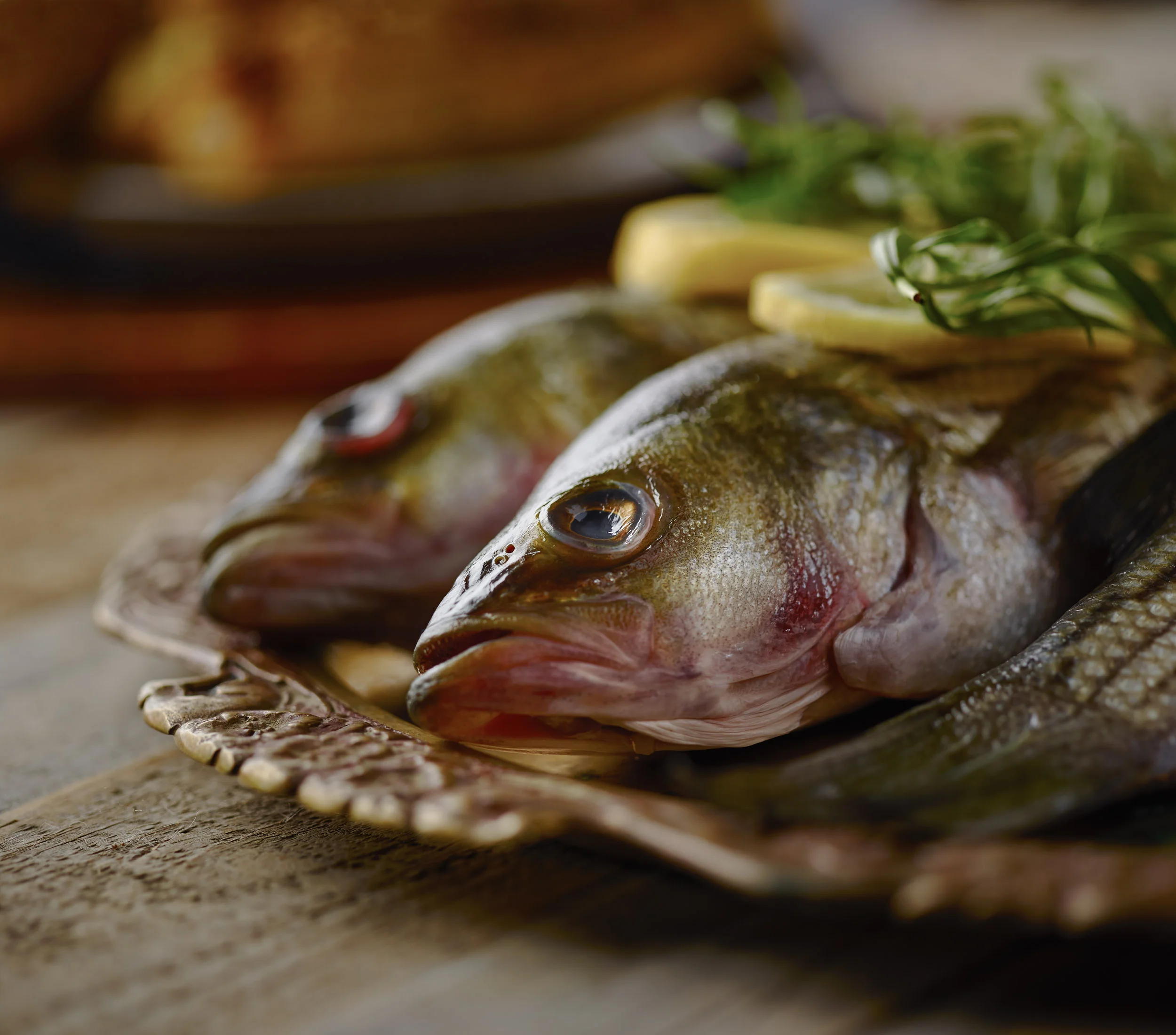 Fish'Tastic