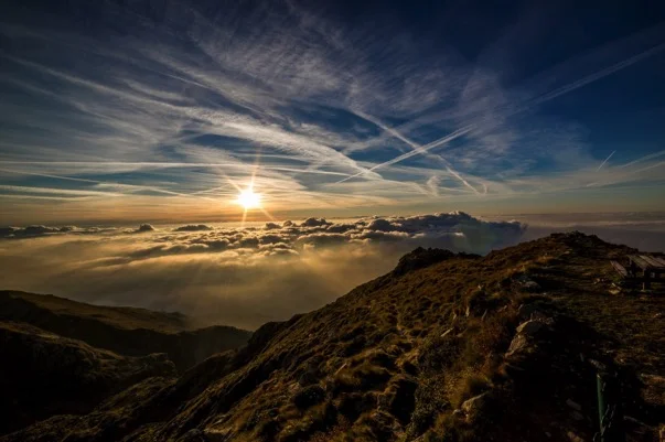 Get Exploring Trust