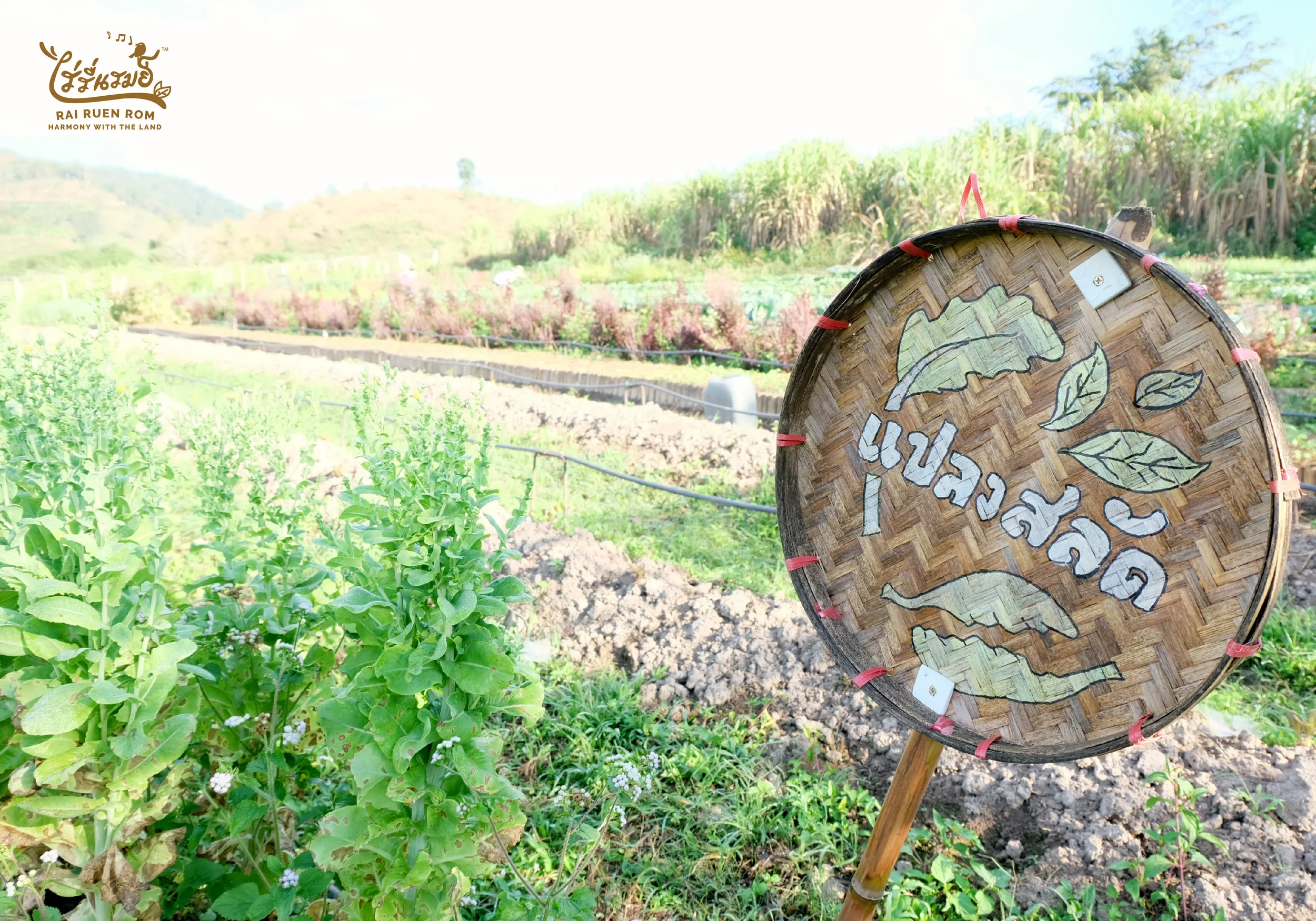 Fresh Product-08.jpg