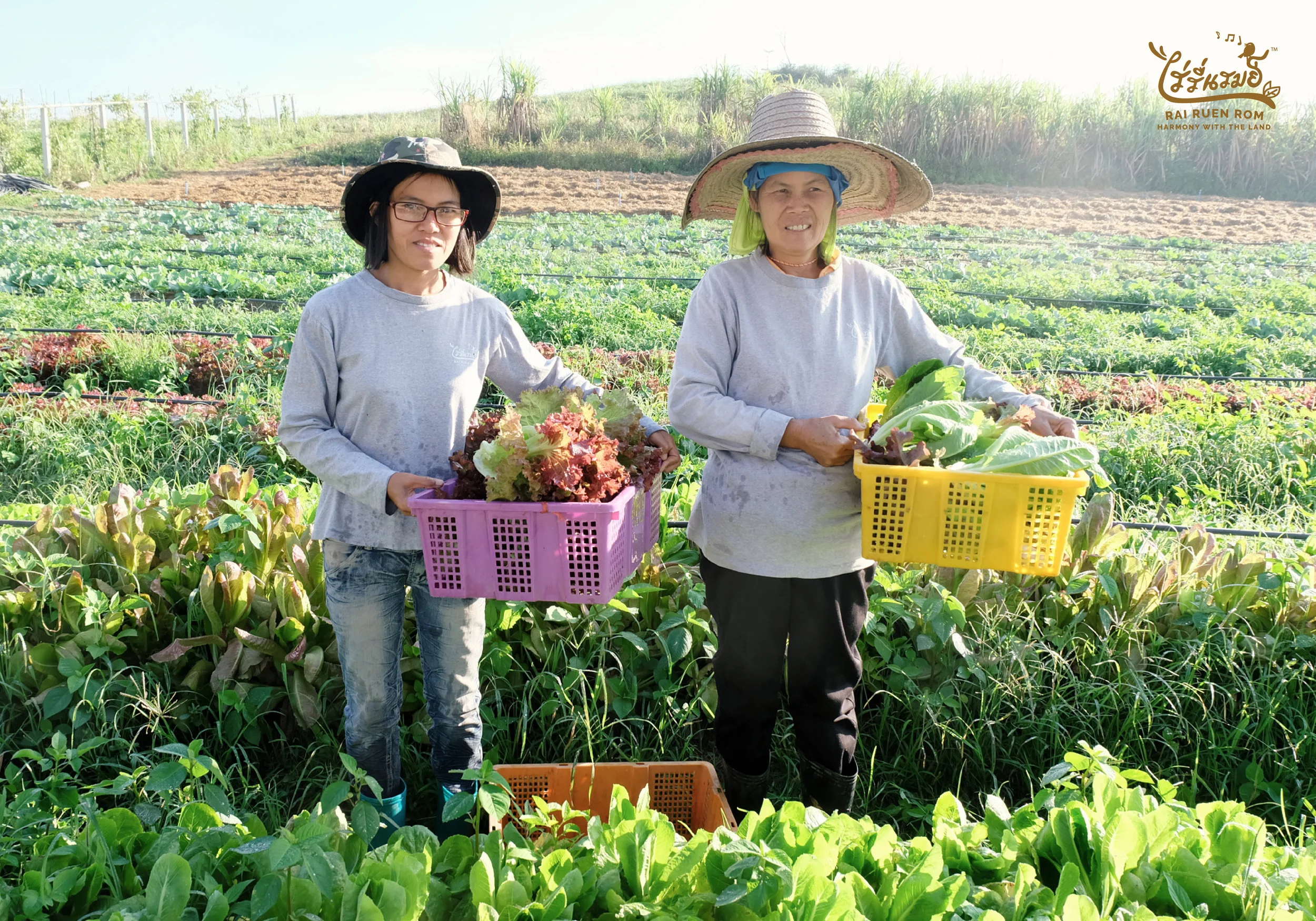 Fresh Product-16.jpg