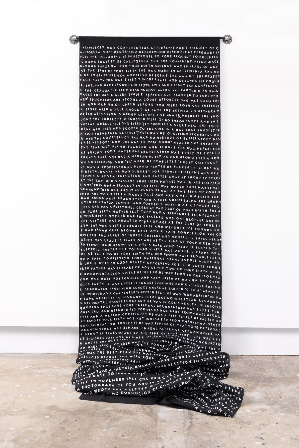   Non-Identifying Information , 2023 | 276 x 44 inches | paint on fabric   