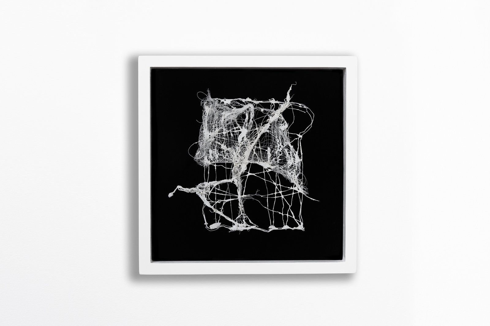  Aperture, 2023 | 12 x 12 in. | thread, plaster, calcium carbonate and cheesecloth on velvet  