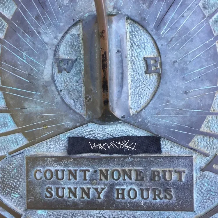 SIGNAL &amp; NOISE, SONOMA CA (2017)