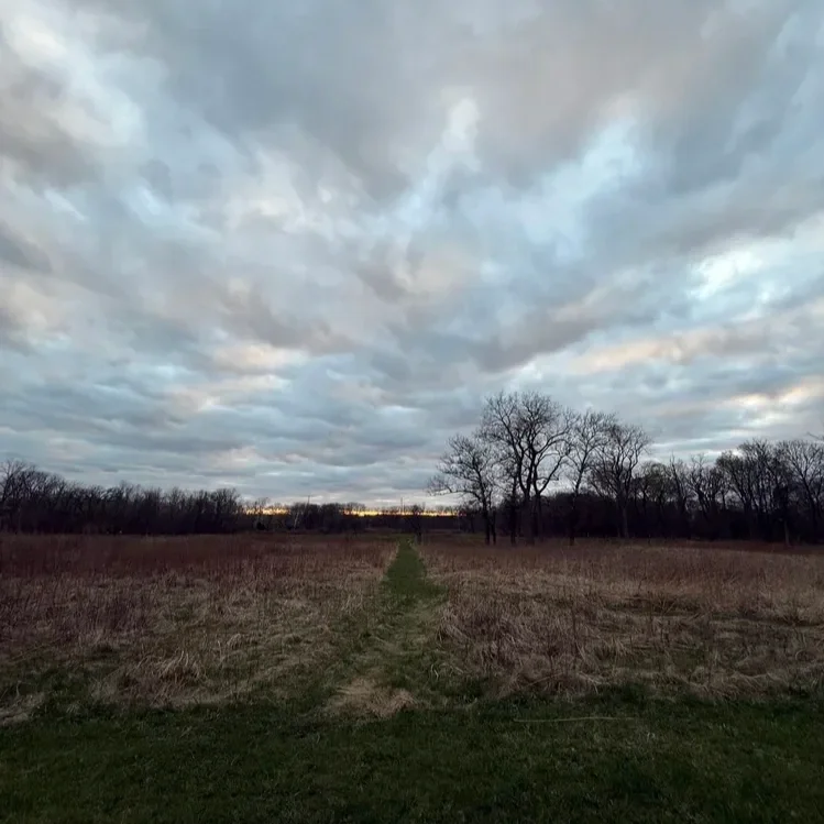 RAGDALE, LAKE FOREST IL (2025)