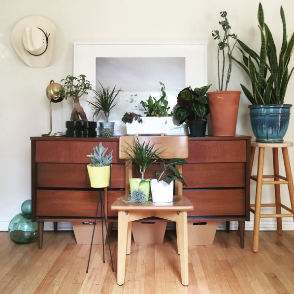 My plants spark so much joy!
