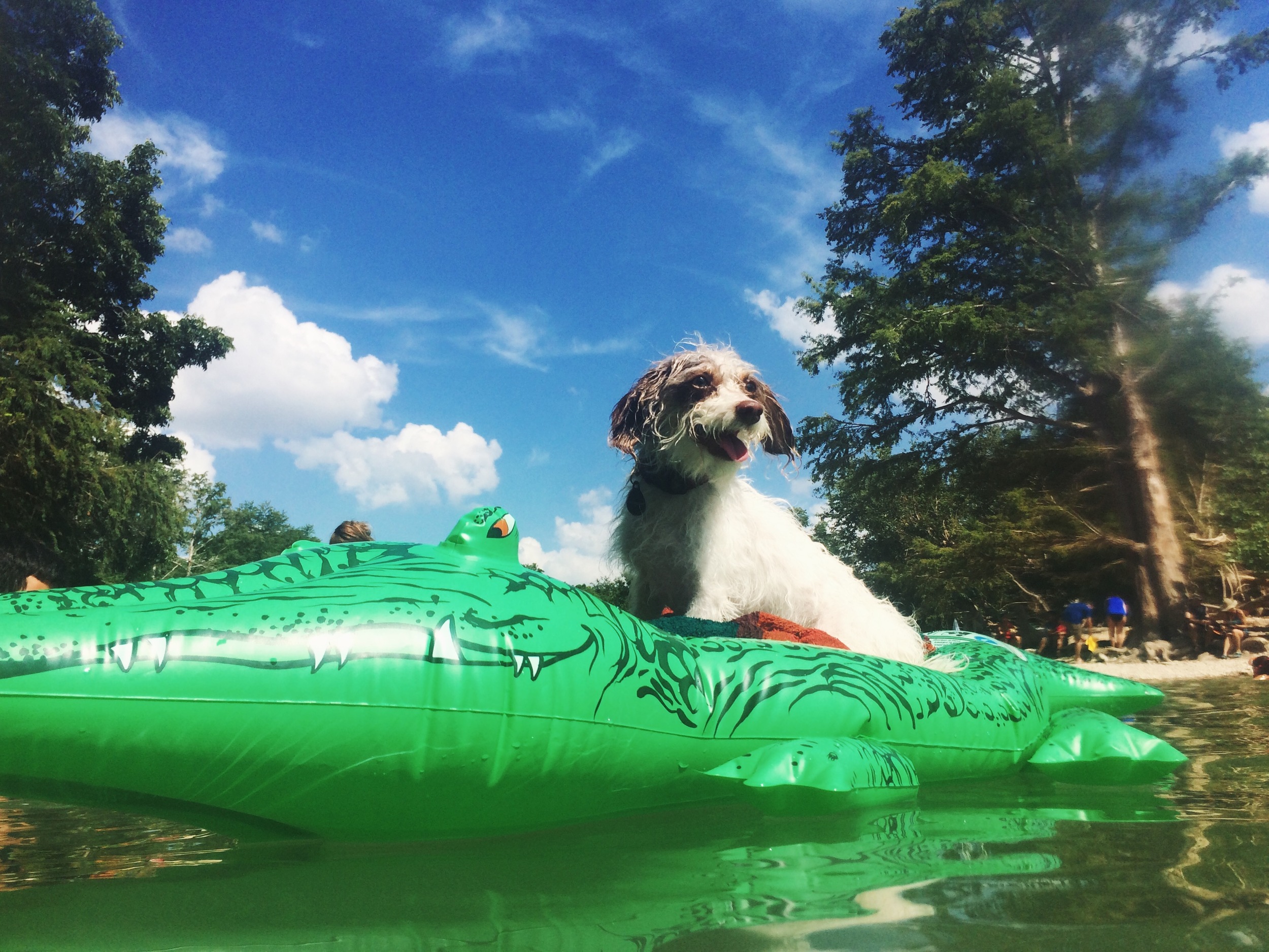 Kevin loves summer on a budget.