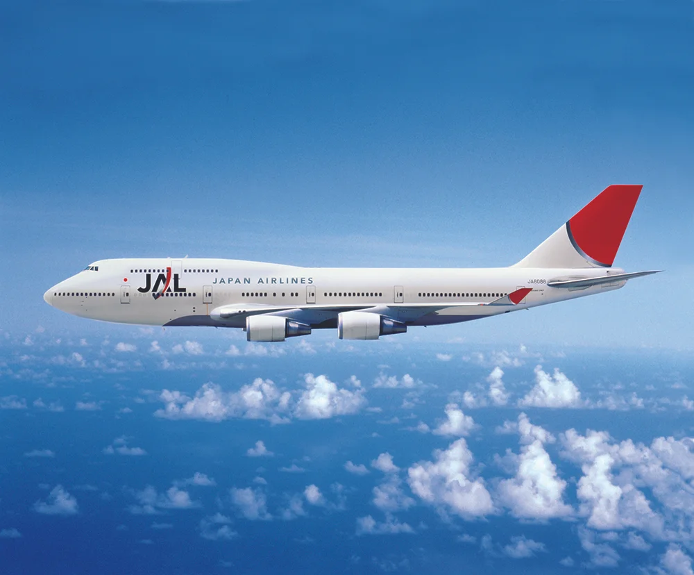 JAL_113_Small.jpg