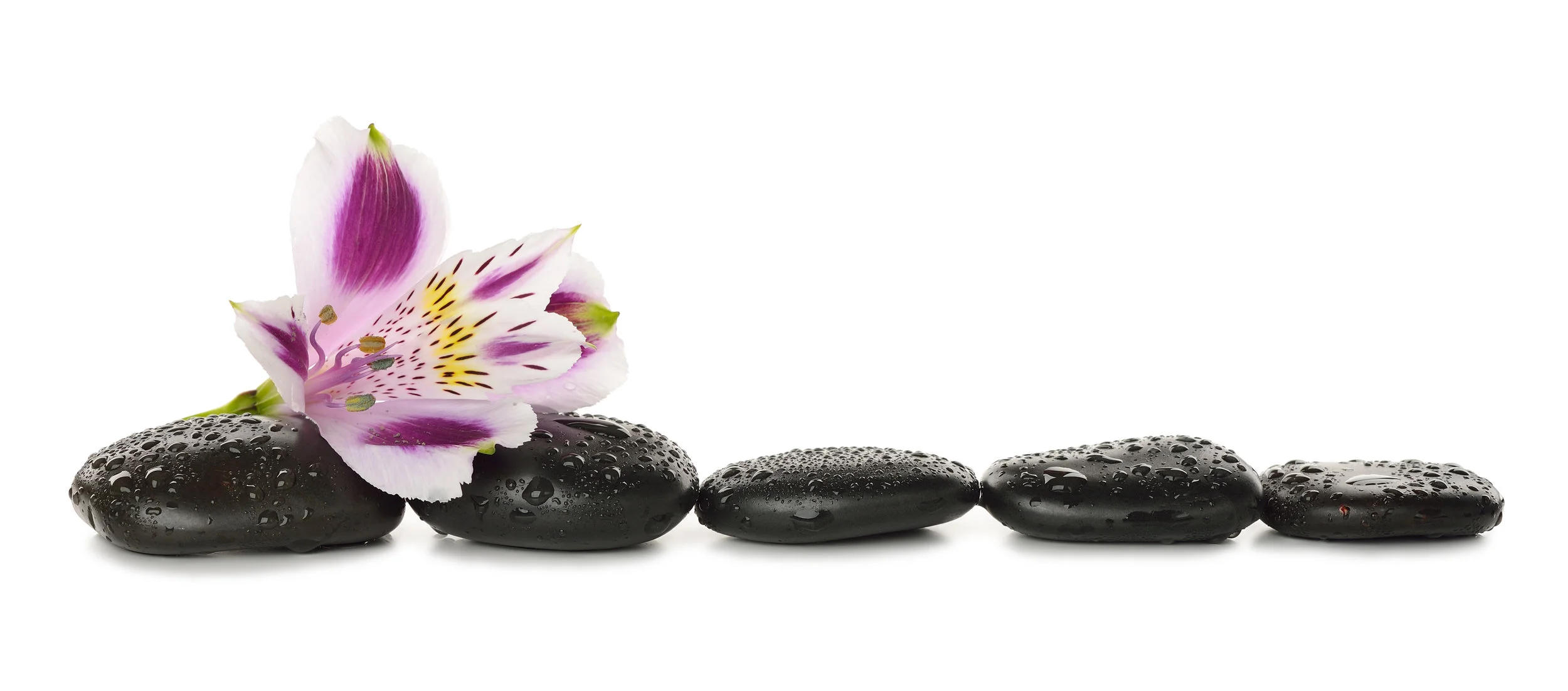 Yoga for Embodiment (TCTSY for Women) 4/9