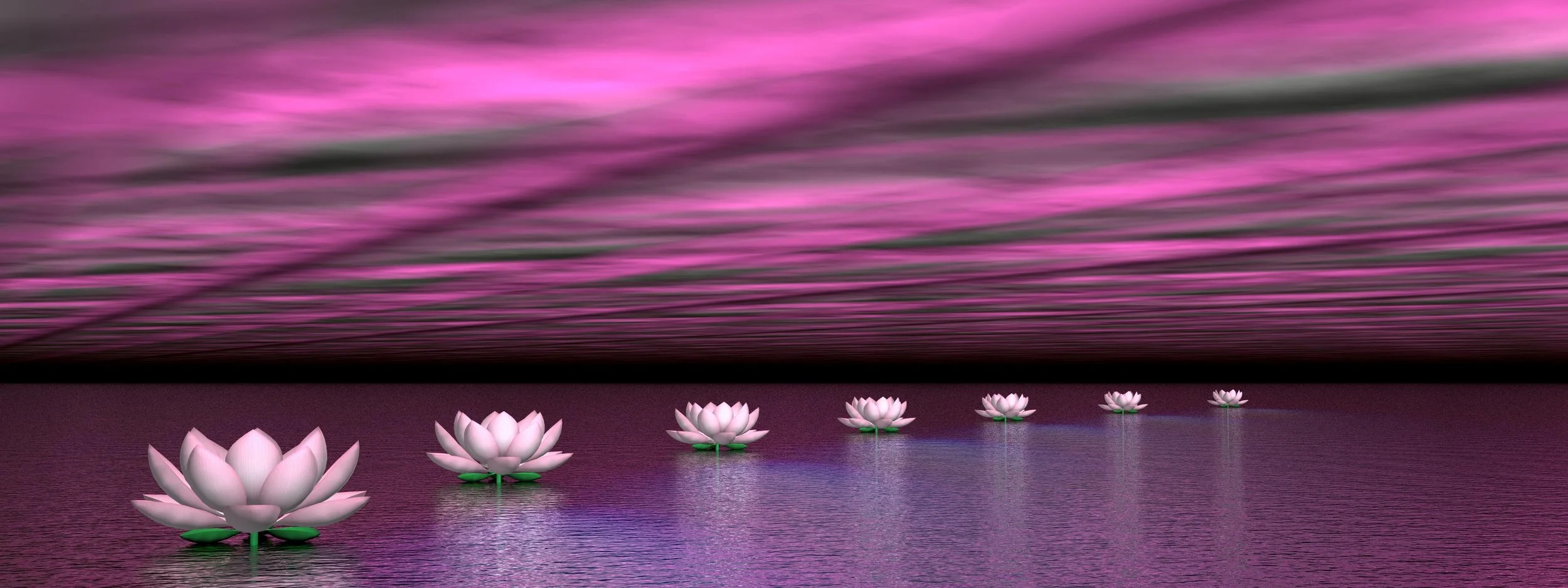 Yoga for Embodiment (TCTSY for women)