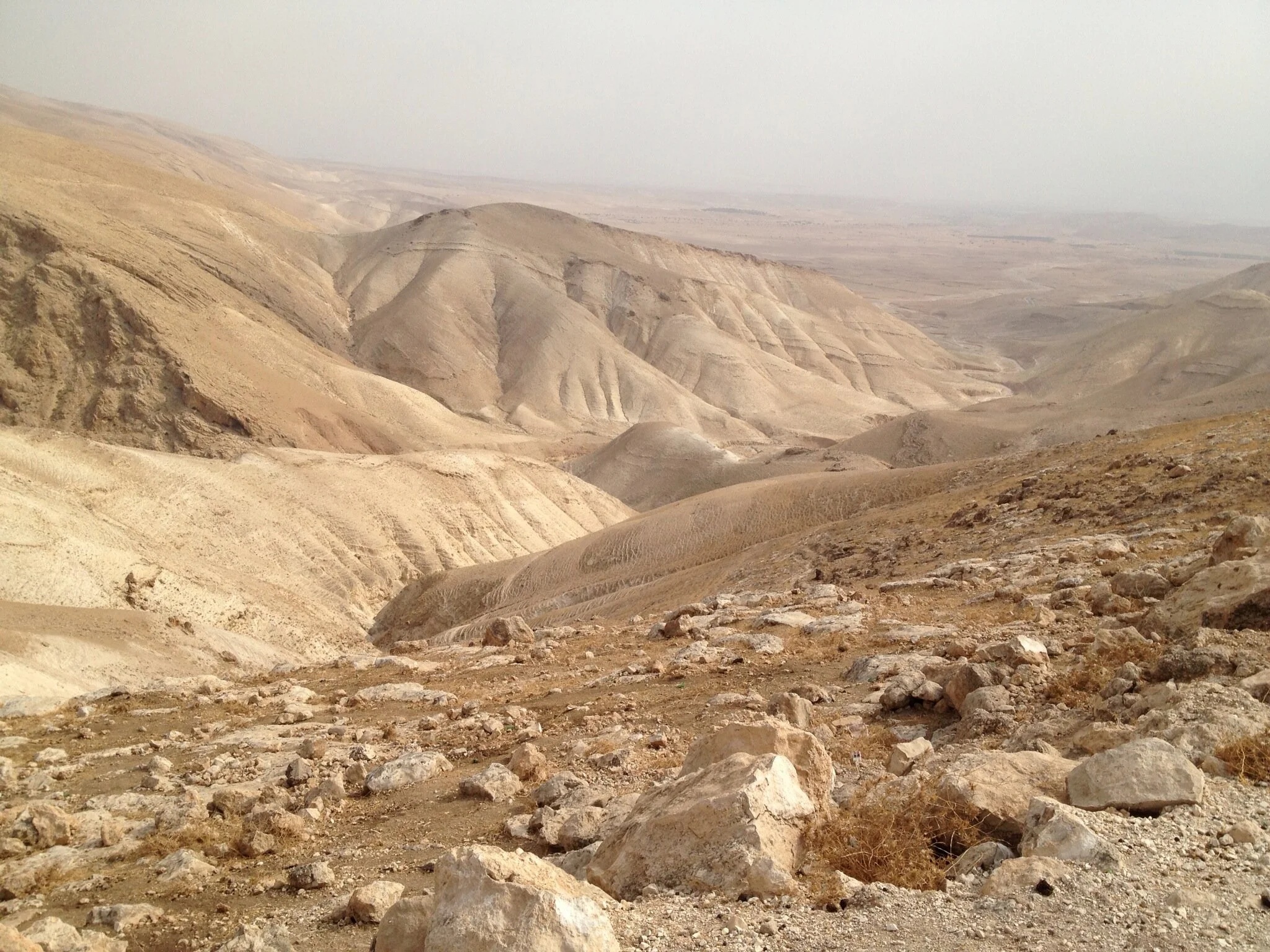 The road to Jericho.JPG