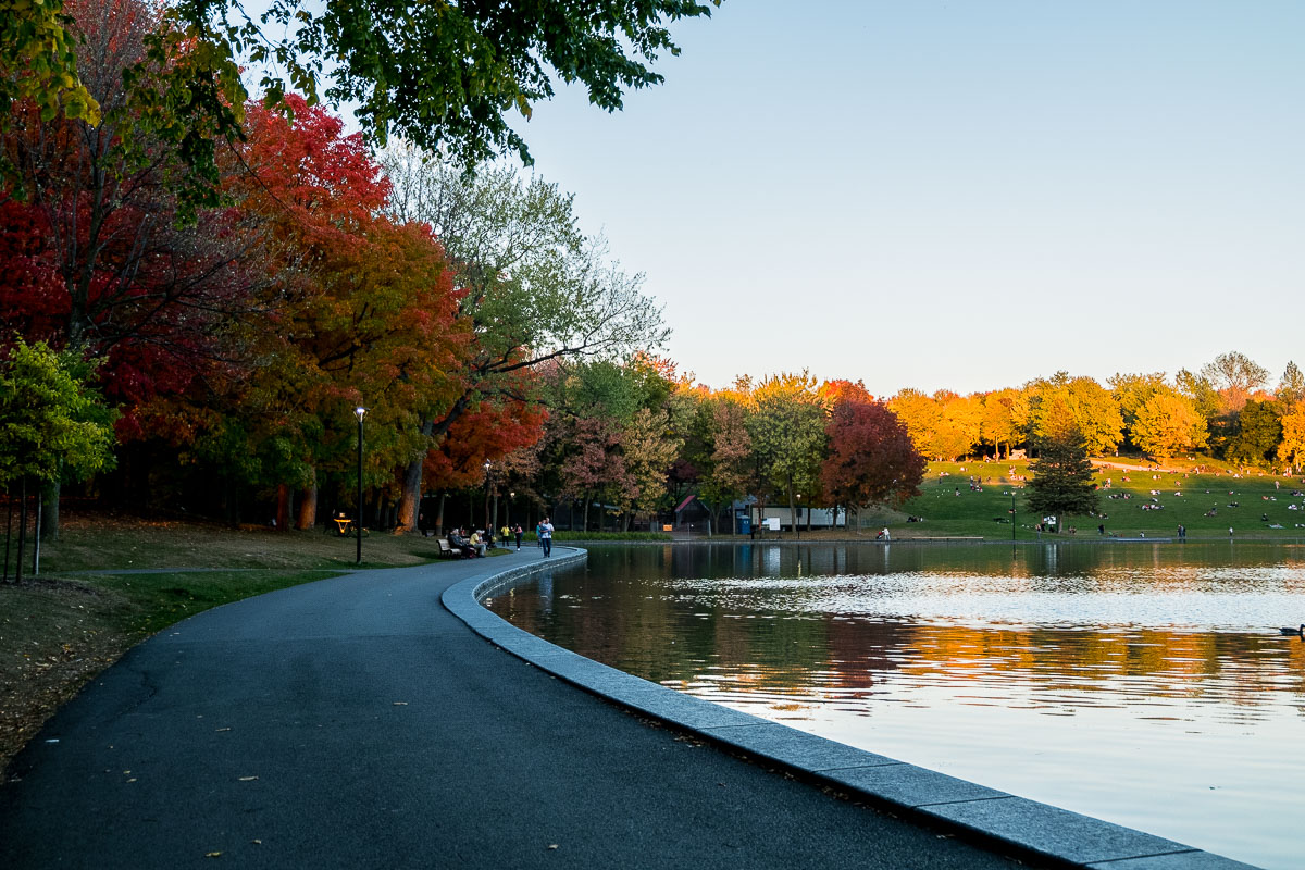 Mont Royal - Foto: Refusetohibernate.com