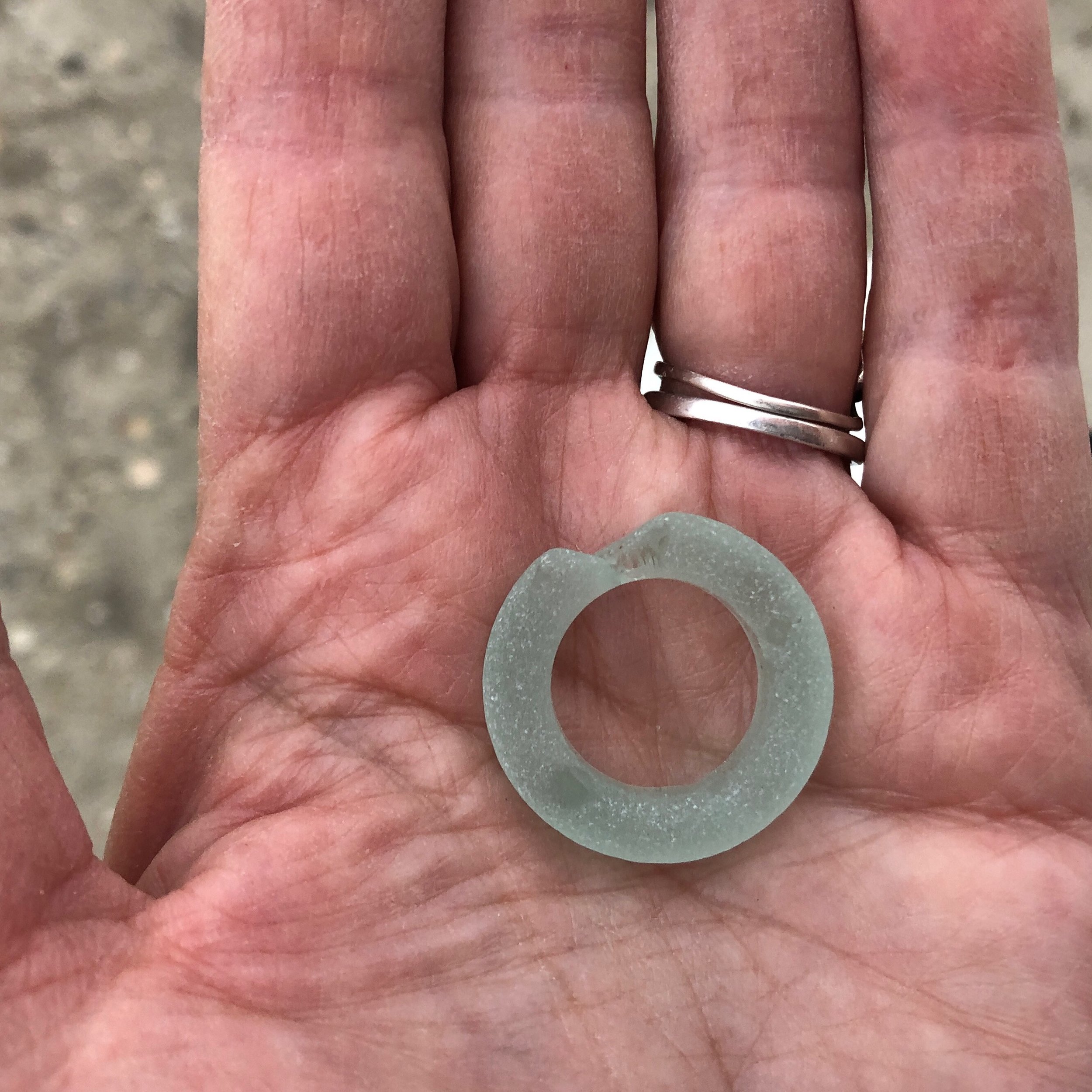 best beach find, Cape May, NJ.JPG