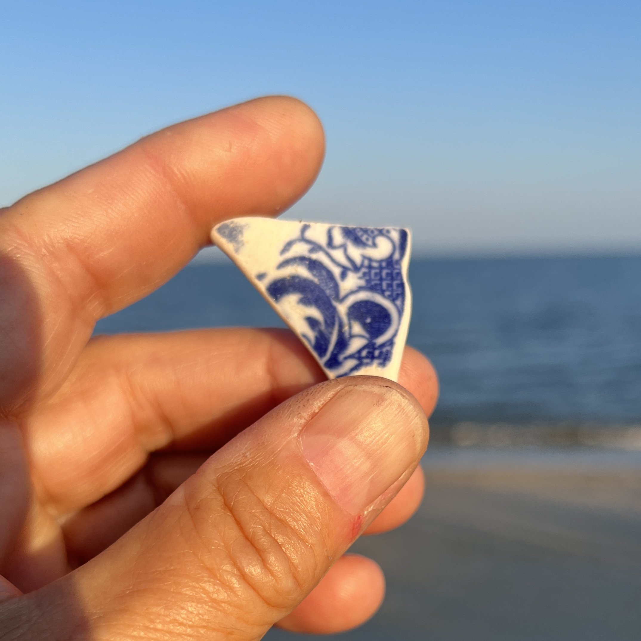 Blue & White Sea Pottery found in Cape May, NJ.jpg
