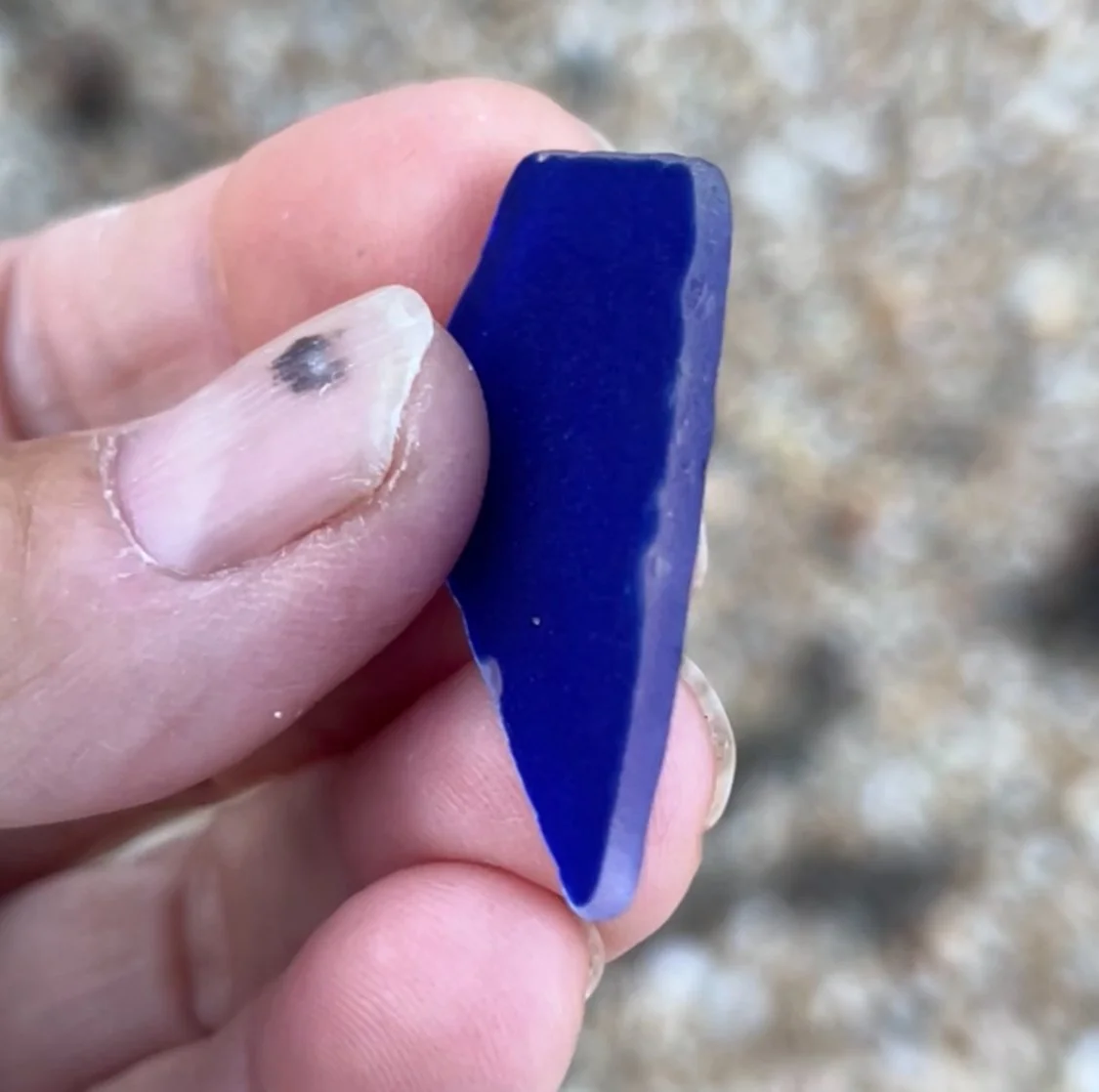 Rare Cobalt Blue Flashed Glass Sea Glass found in Cape May, NJ