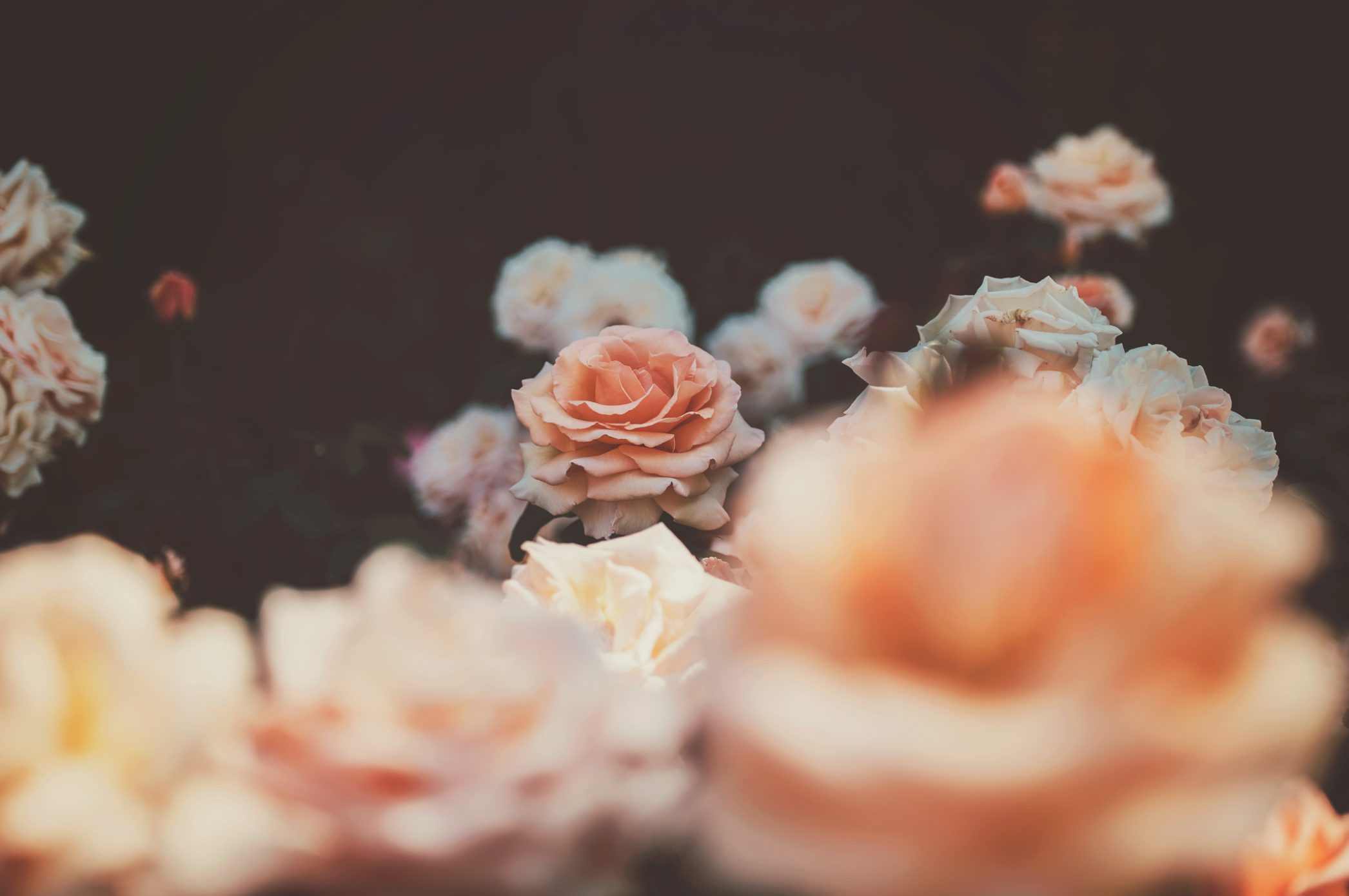 Screen Shot 2017-04-01 at 11.18.48 PM.png