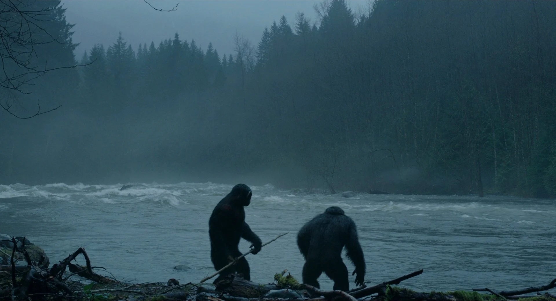 25 - Dawn of the Planet of the Apes.jpg