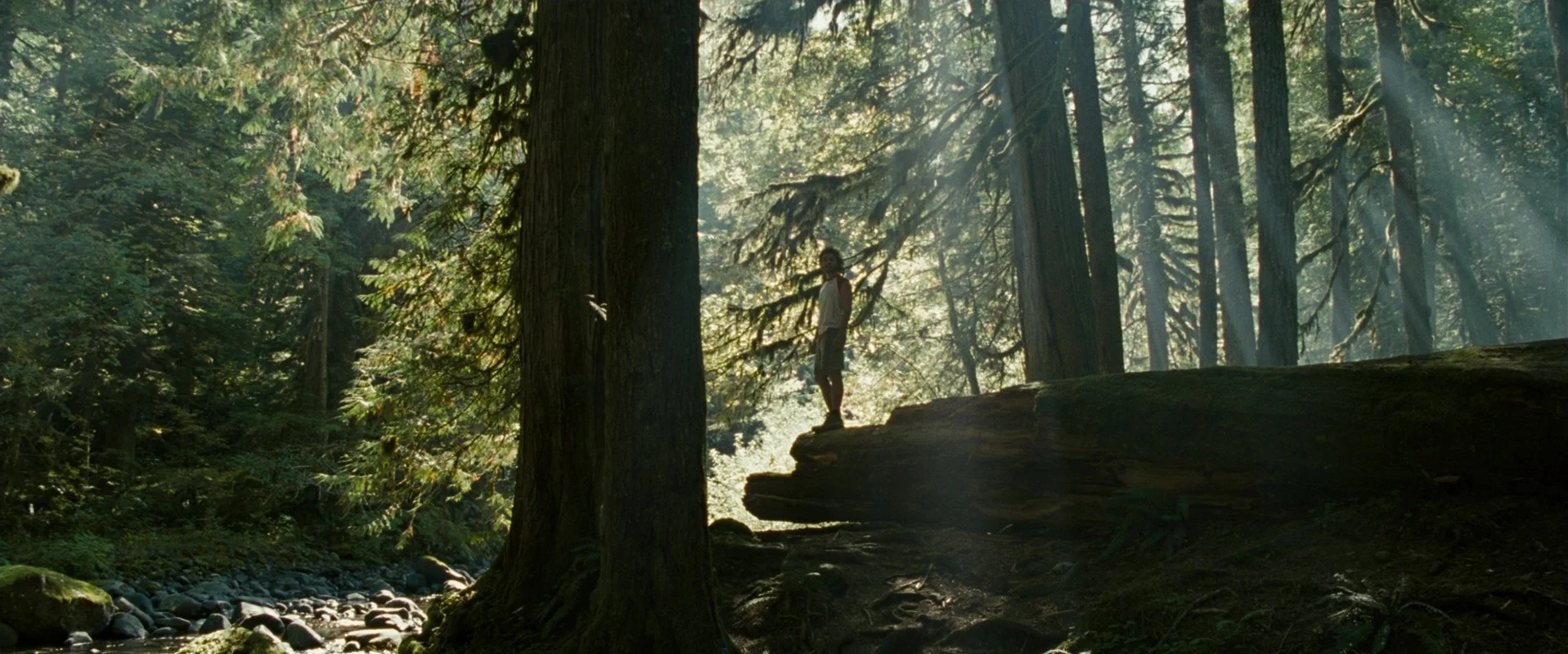 68 - Into the Wild.jpg