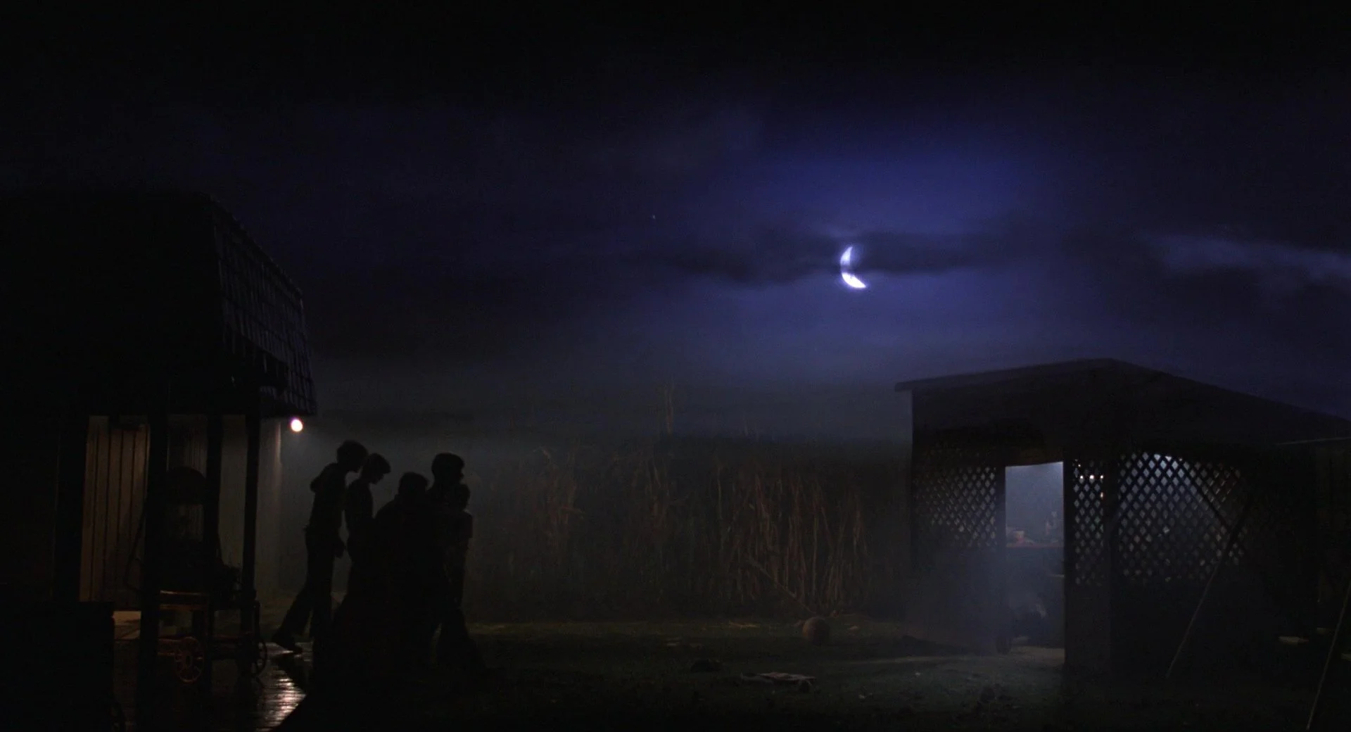 53 - ET the ExtraTerrestrial.jpg