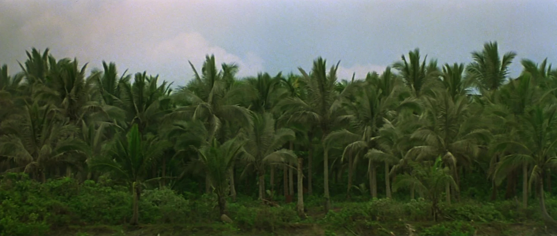 18 - Apocalypse Now.jpg