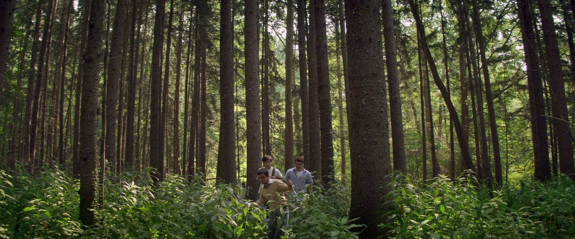 3 - The Kings of Summer.jpg