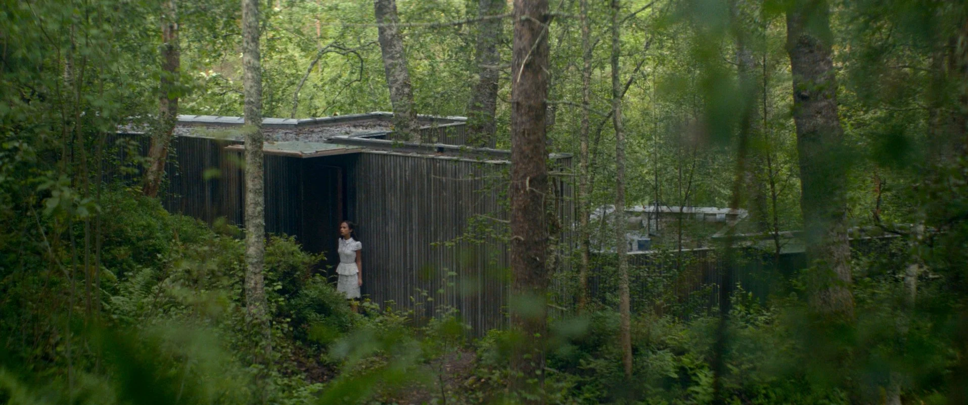 29 - Ex Machina.jpg