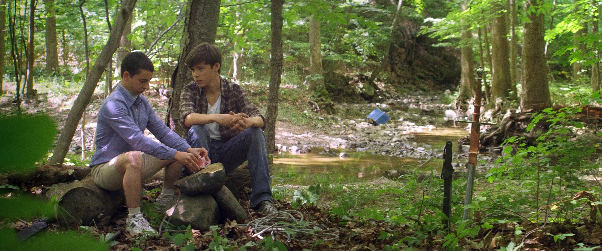 16 - The Kings of Summer.jpg