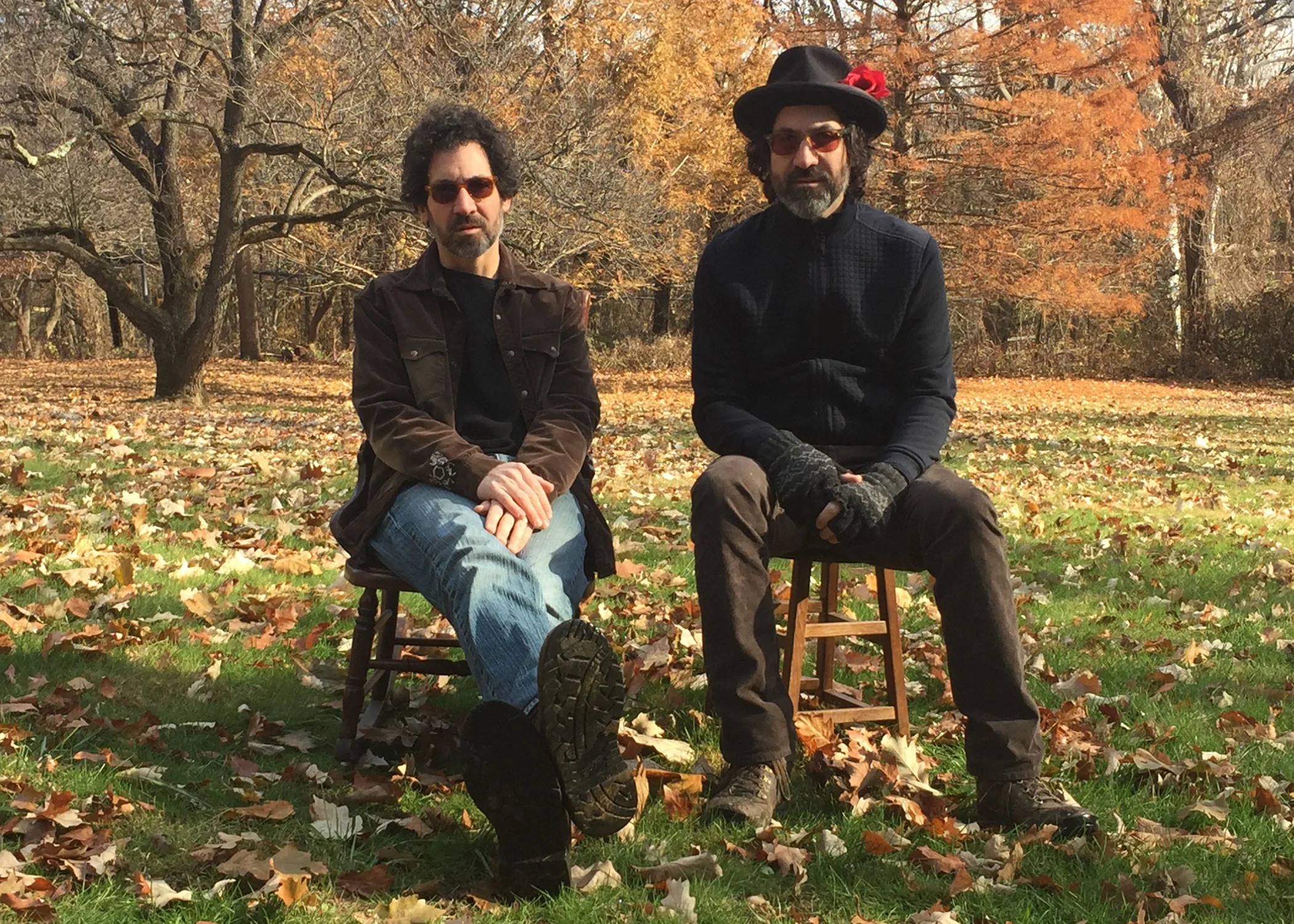 Rich & Rob_Cabin Dogs_field.jpg