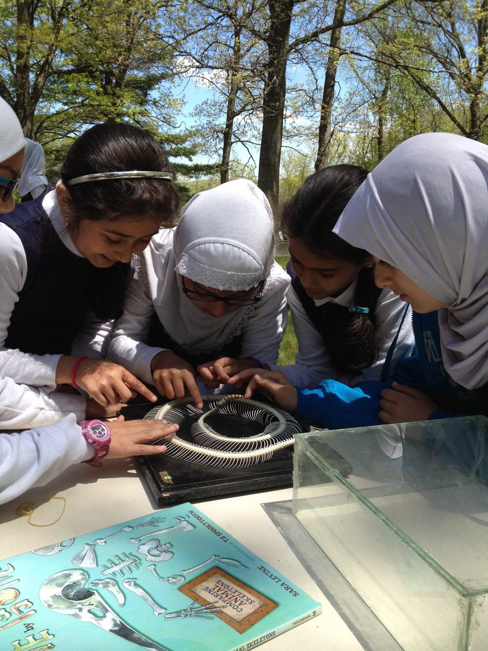 School and Library Programs — Sara Levine