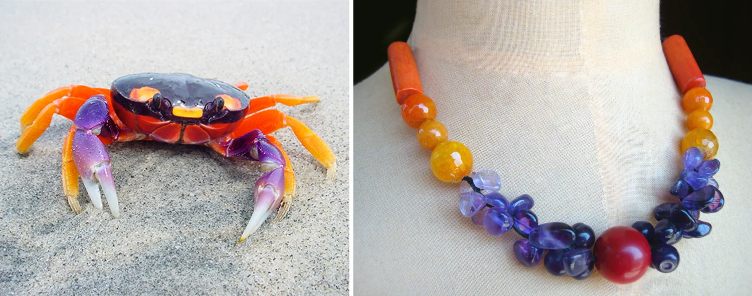 ecuador-crab.jpg