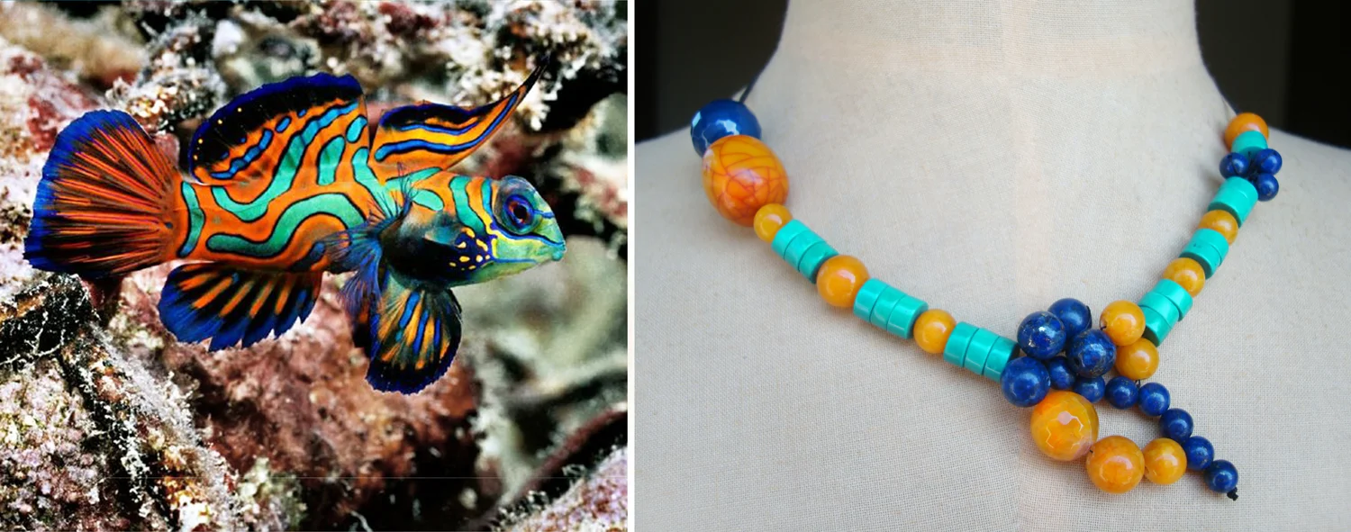 mandarin-fish.jpg