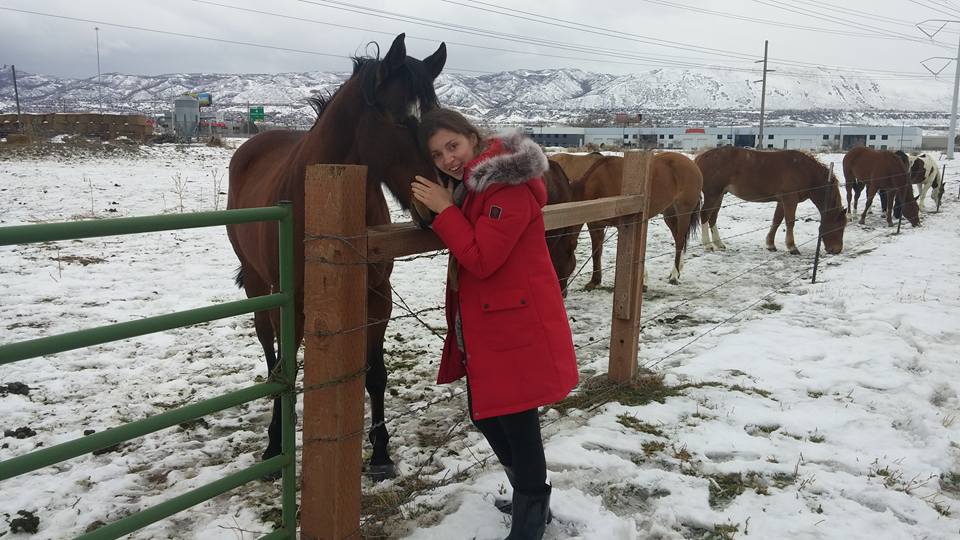 The gems of Utah (somewhere near Salt Lake City). This moment took me back to my childhood and reminded me of my eternal love for these creatures. 