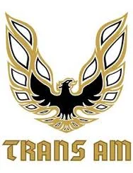 Every Thursday Scalextric TransAm Slot Car Racing