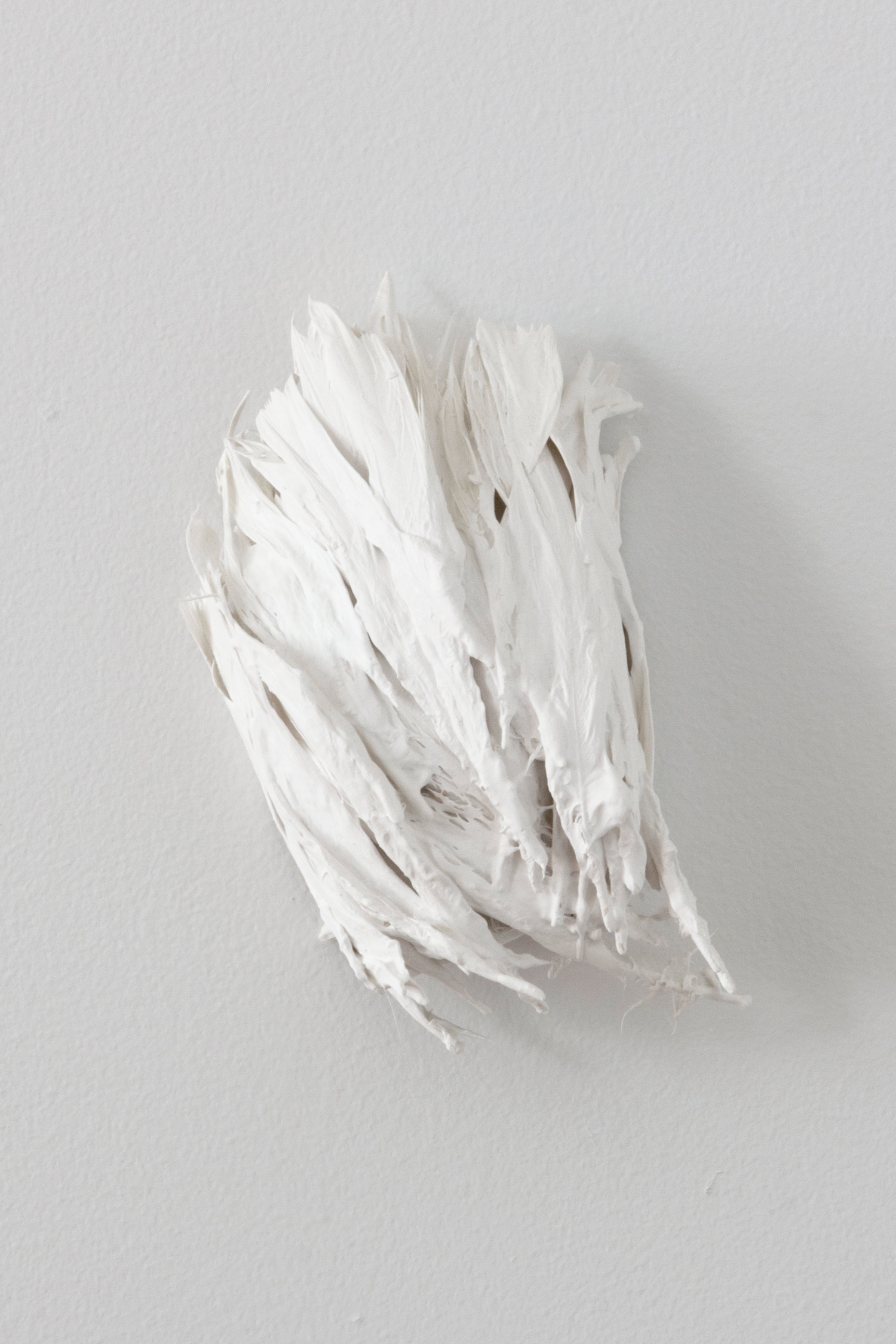    Feders   2014 plaster, feathers 6 x 7 x 3 inches 