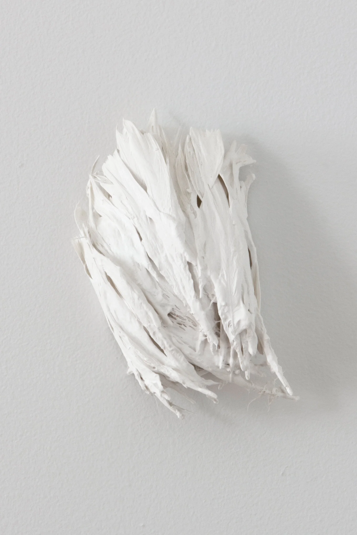 Feders 2014 plaster, feathers 6 x 7 x 3 inches