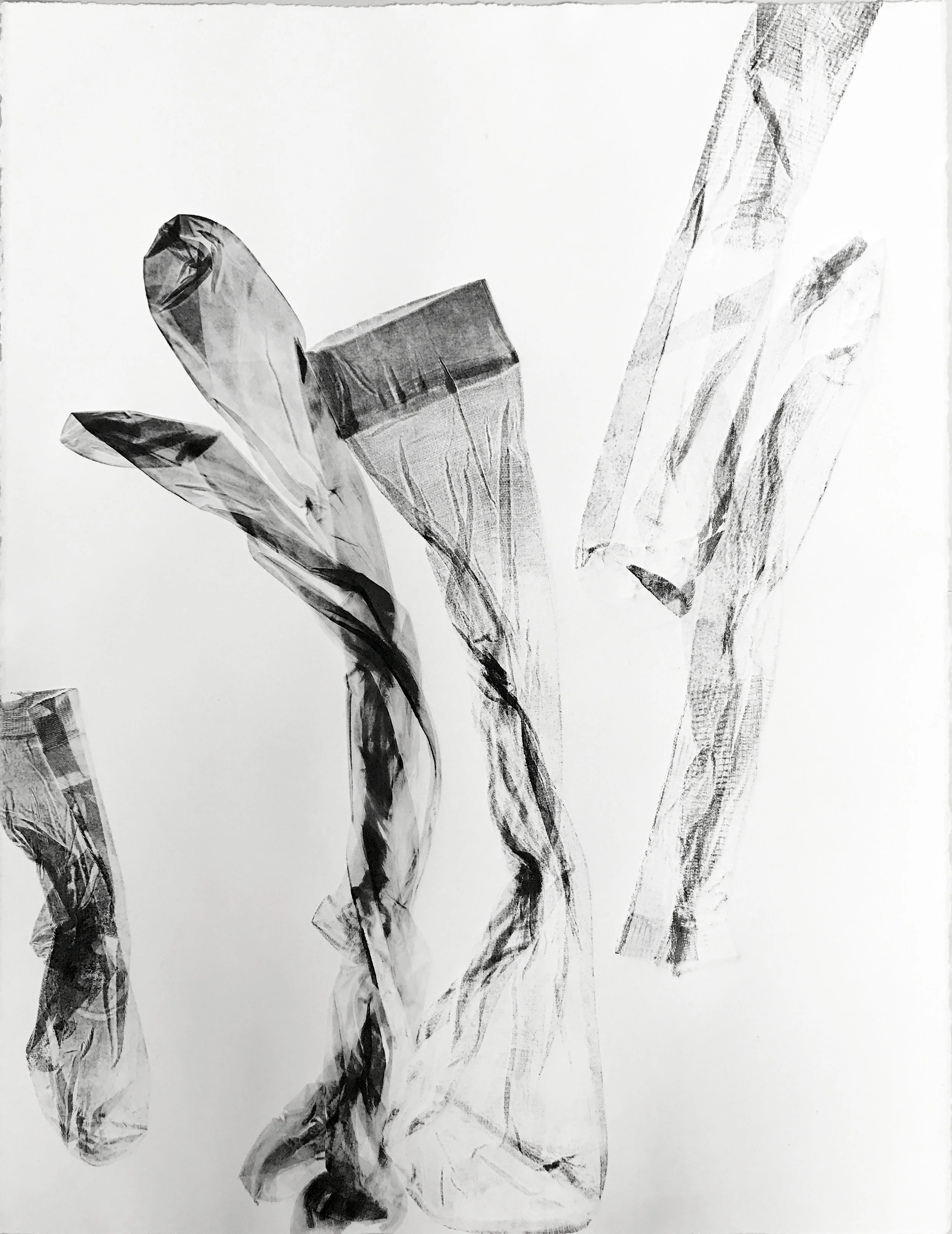 I Don't Know #2 2017 monoprint 22 x 30 inches