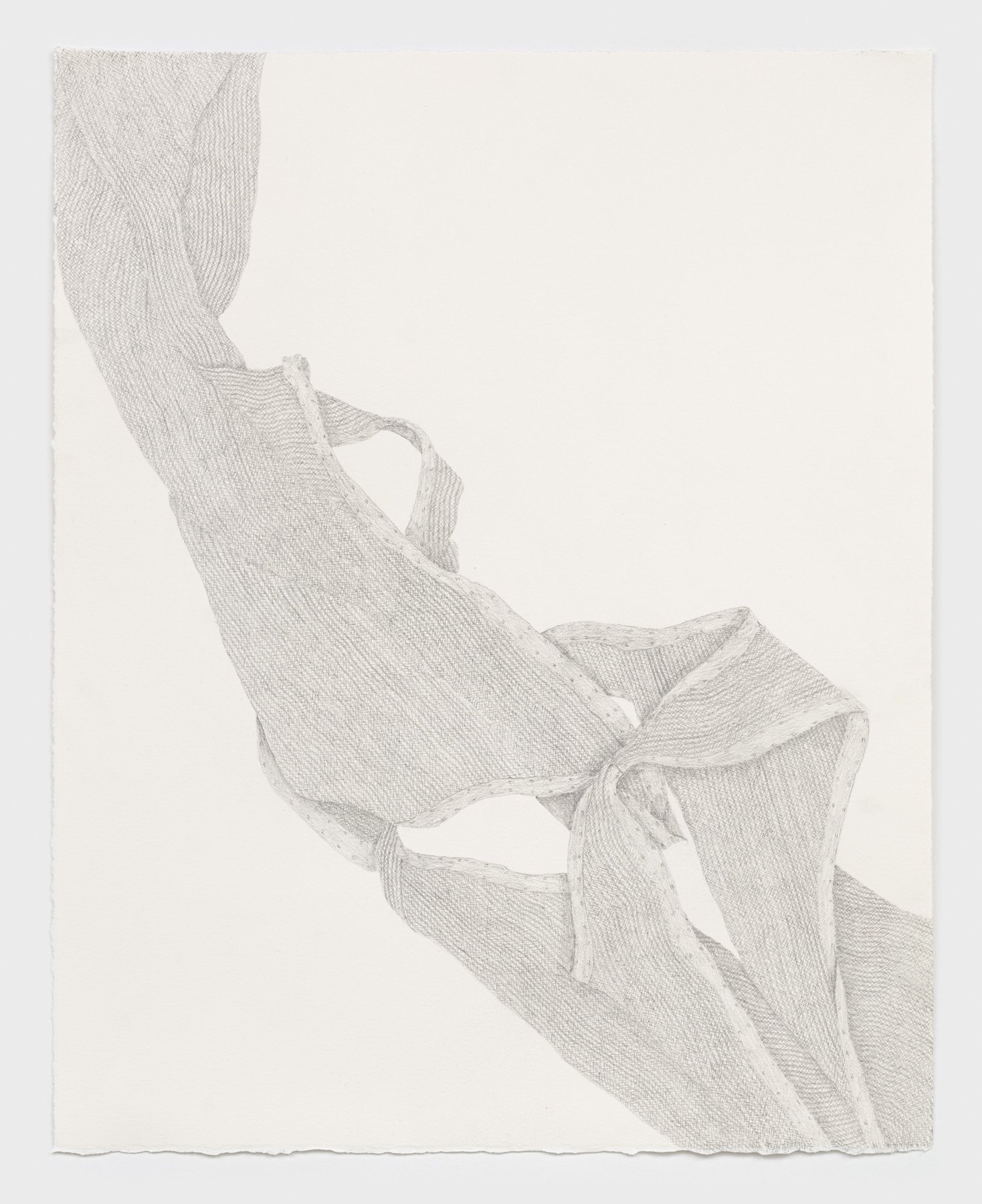    Gut Feeling    2021, graphite on paper, 16 x 20 inches 