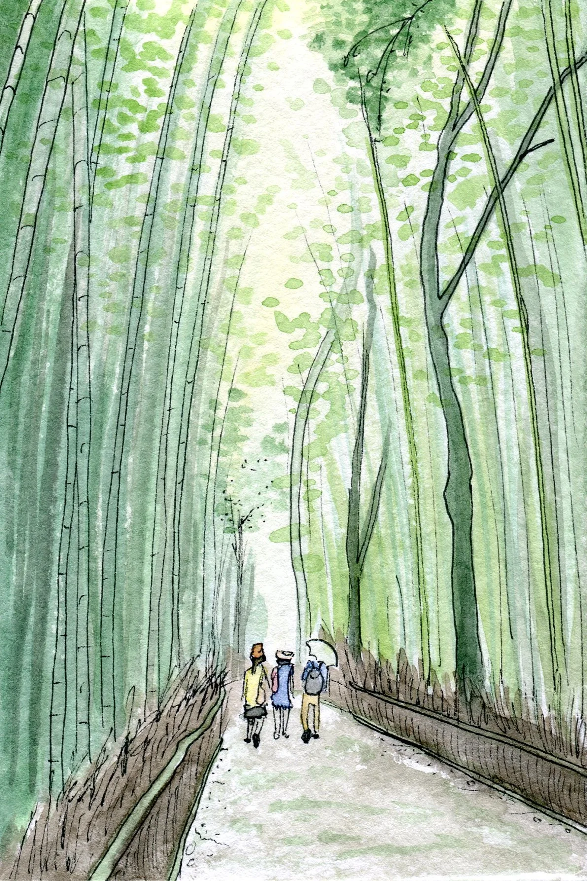 Japan - Kyoto Bamboo.jpg