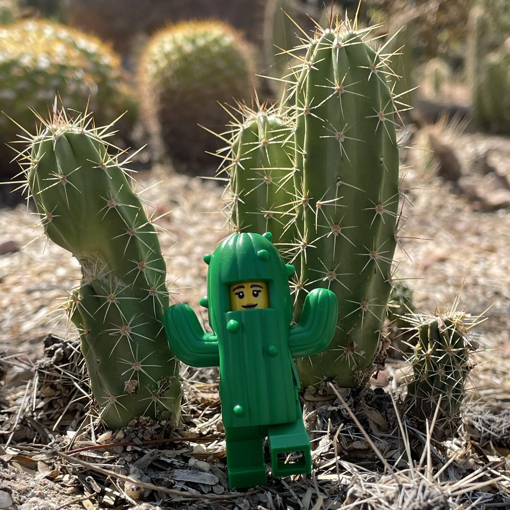 Phoenix, Arizona