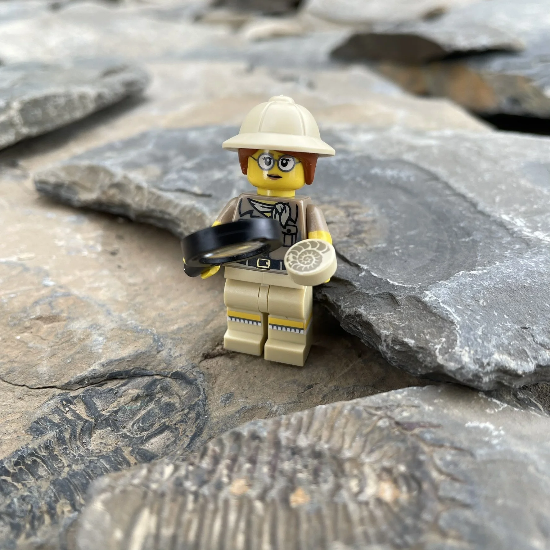 Burgess Shale, British Columbia