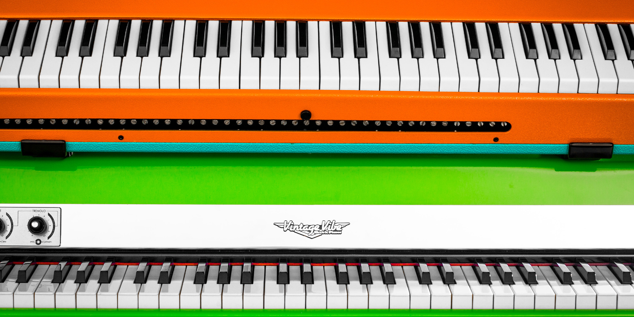 Bright and Bold Header Photo.jpg