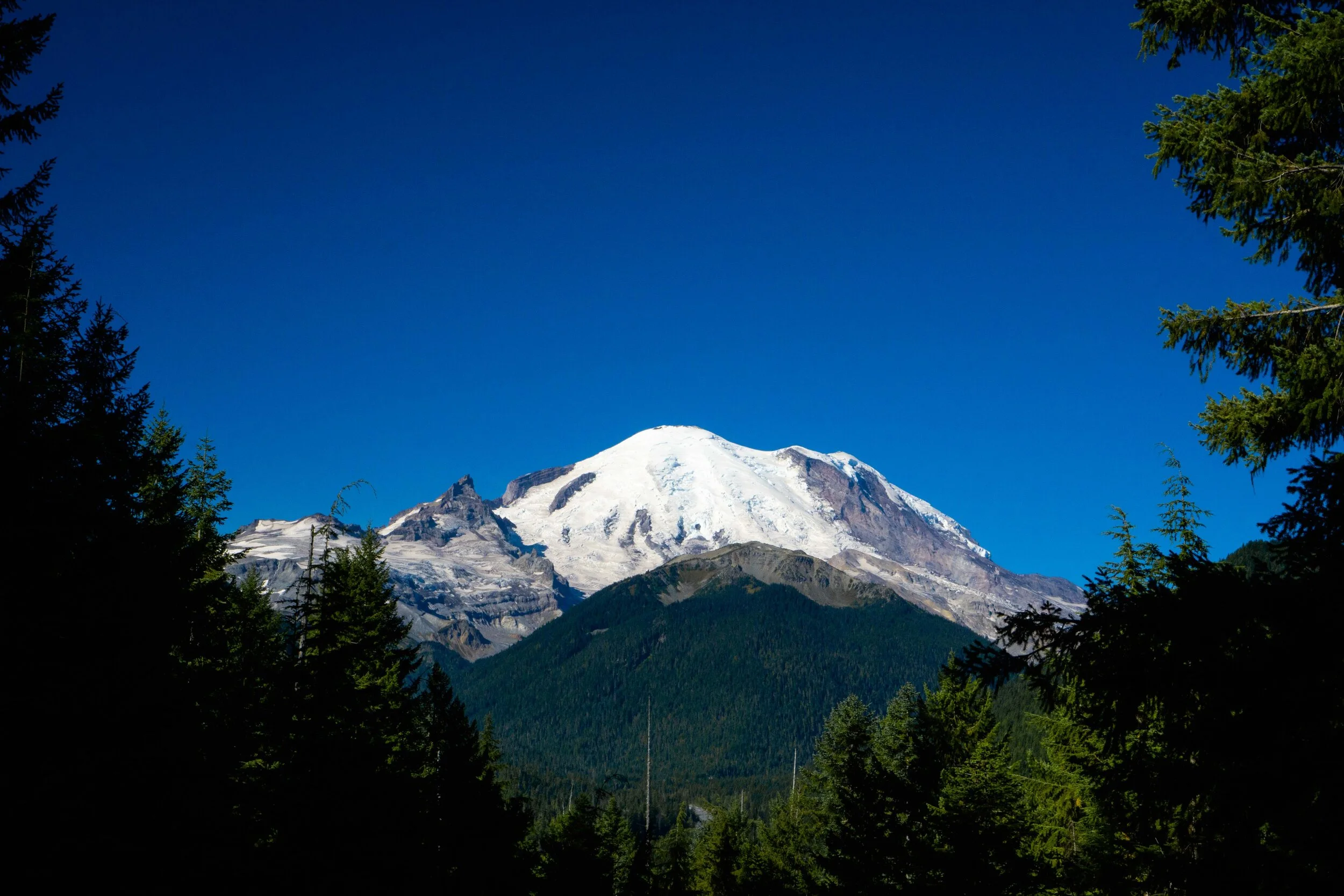 Mount Rainier National Park