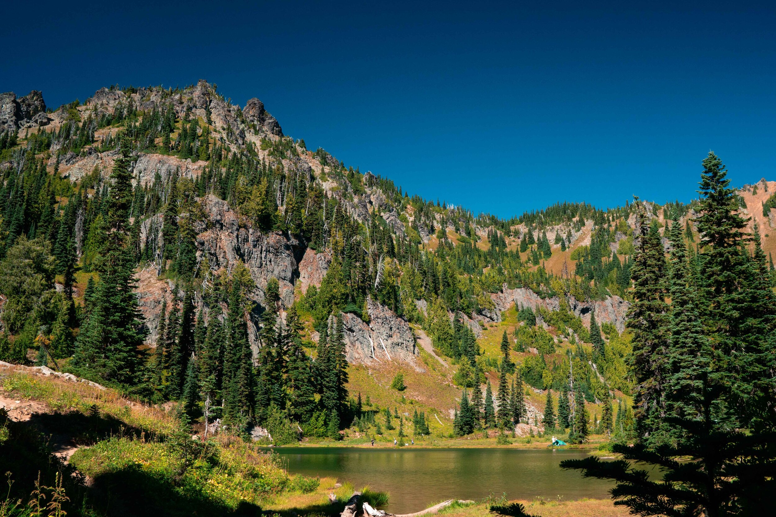 Mount Rainier National Park