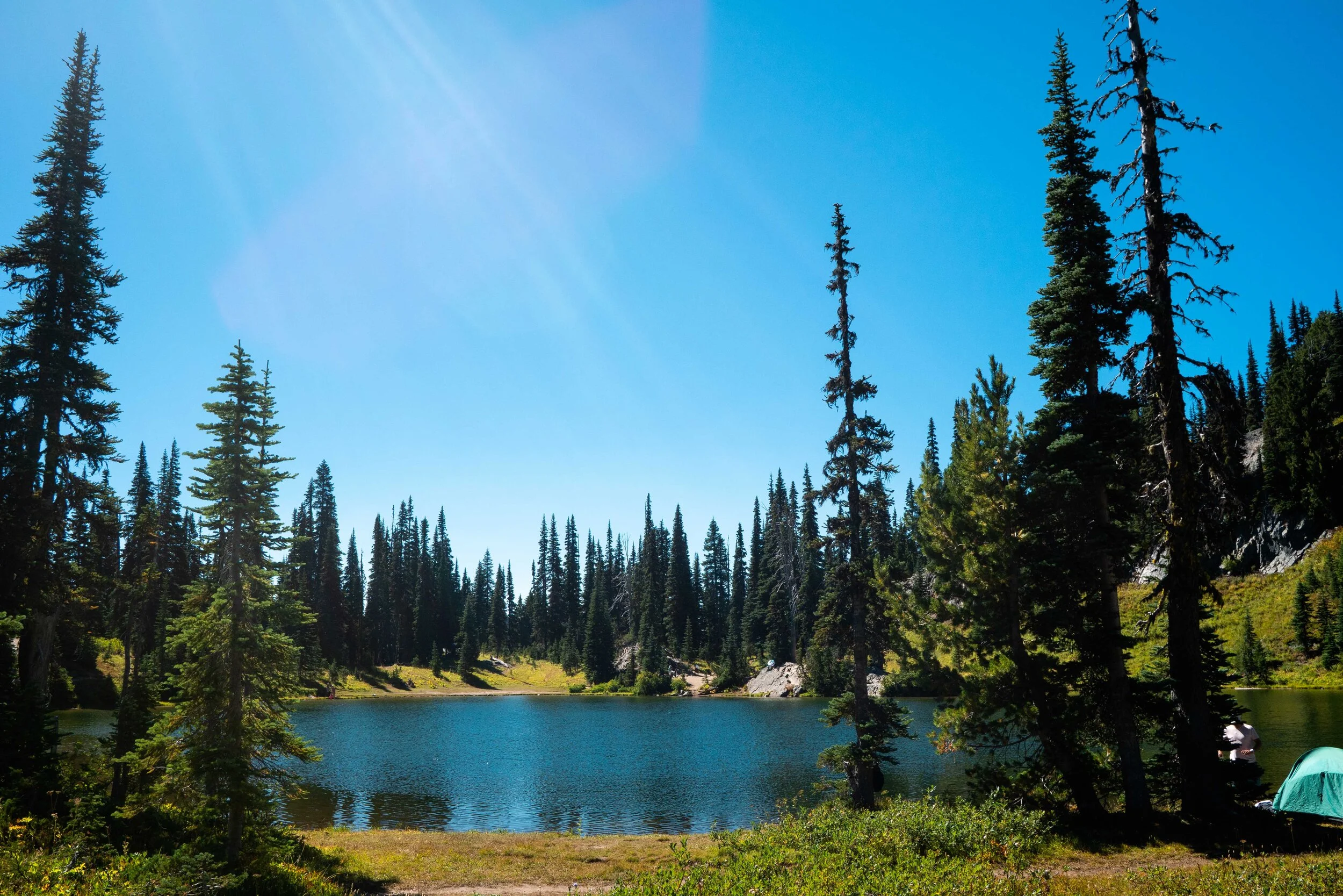 Mount Rainier National Park