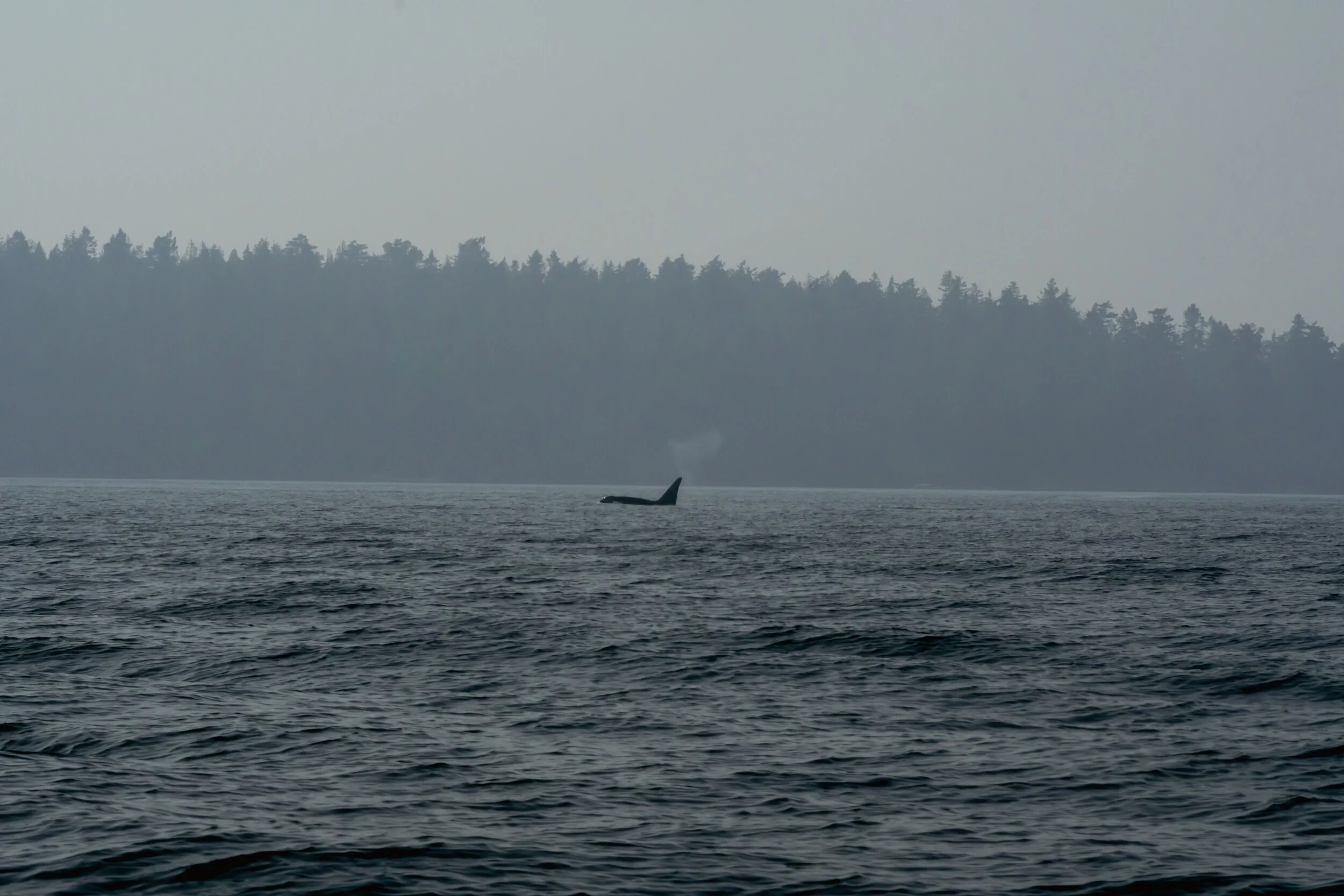 San Juan Islands, WA