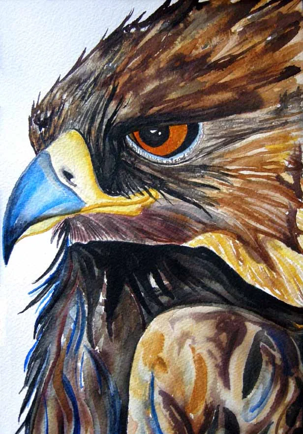 Golden Eagle