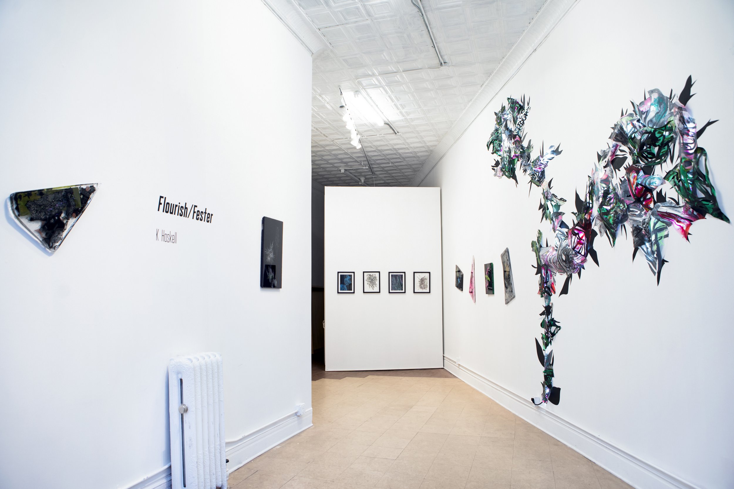 Flourish/Fester at Established Gallery