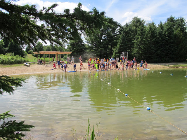 pond1.jpg